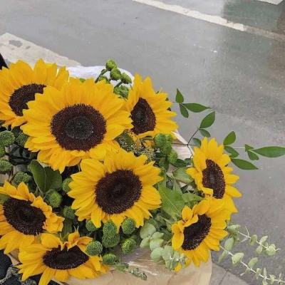 万博ManBetX手机注册