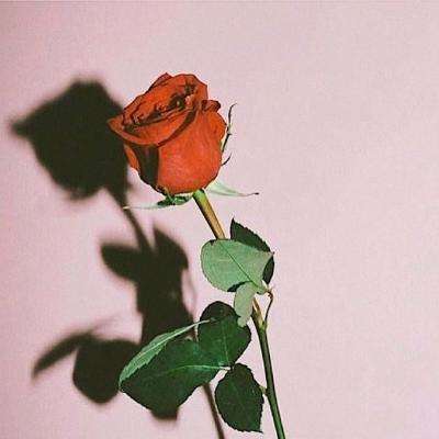 金年会最新官网下载