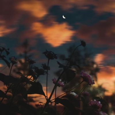 澳门2023全年免费资料大全手机app下载