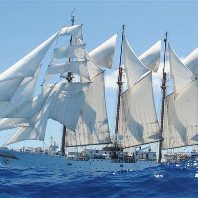 乐动体育app全站下载