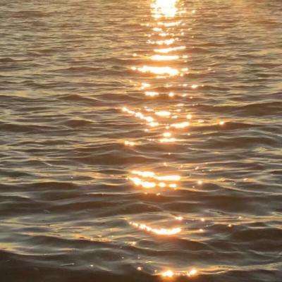 im电竞官方网站下载手机版