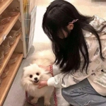 8868体育app下载手机版